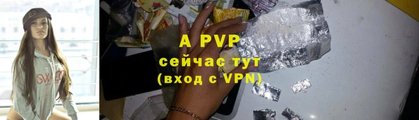 соль ск Бородино