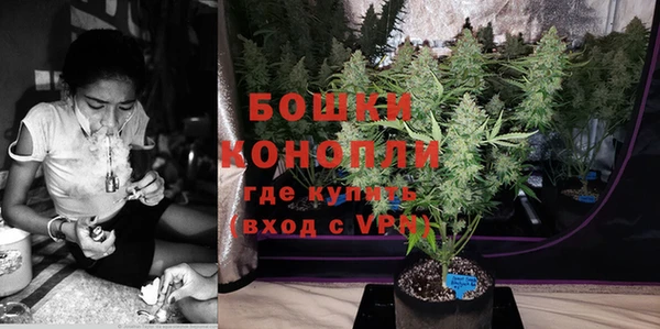 соль ск Бородино
