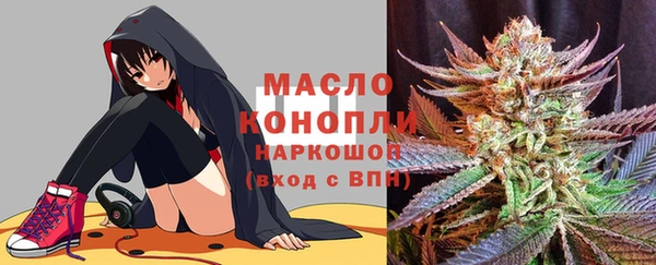 соль ск Бородино