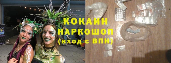 соль ск Бородино