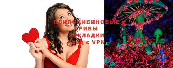 мдпв Бронницы