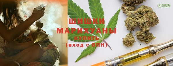 мдпв Бронницы