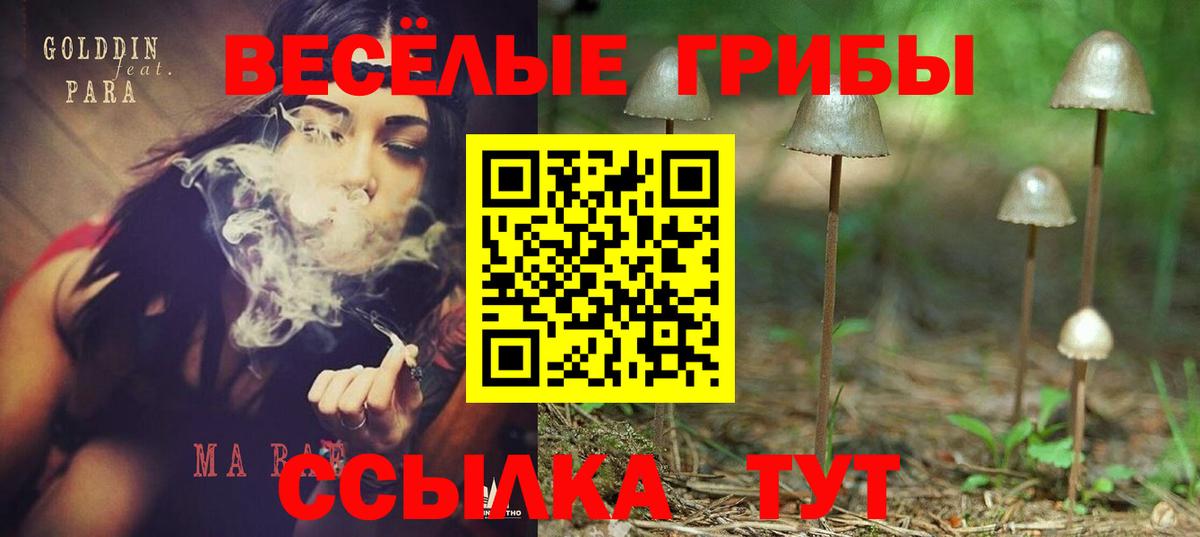 Псилоцибиновые грибы Cubensis  Псилоцибиновые грибы Cubensis  Вход с VPN  Геленджик 